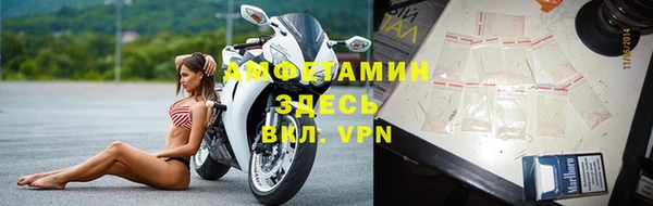 крисы Абаза