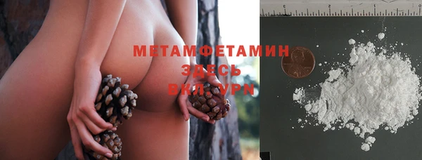 крисы Абаза