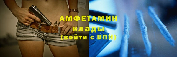 крисы Абаза
