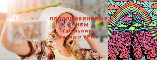 стаф Снежинск