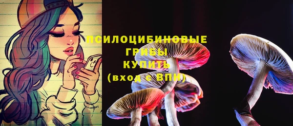 мяу мяу мука Абинск