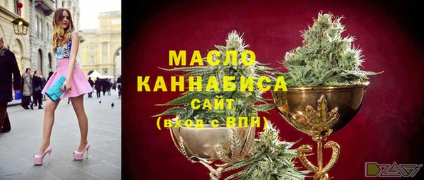 крисы Абаза