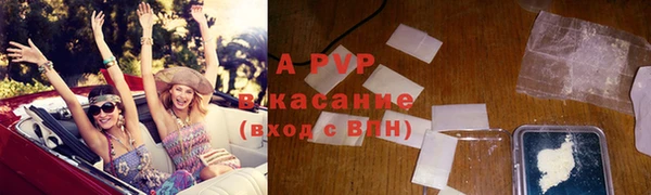 крисы Абаза