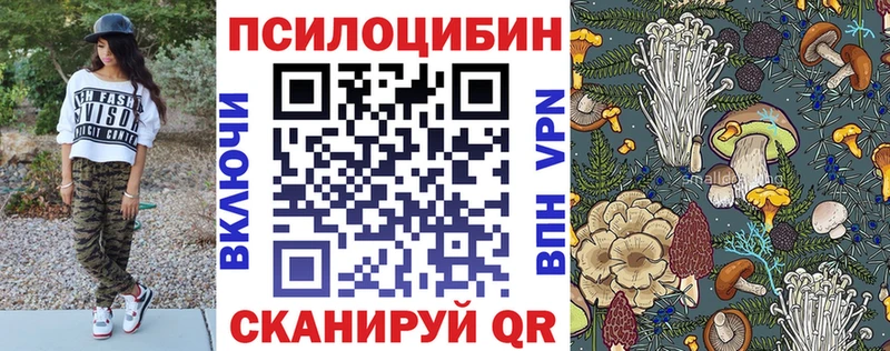 купить   Клинцы  Псилоцибиновые грибы прущие грибы 