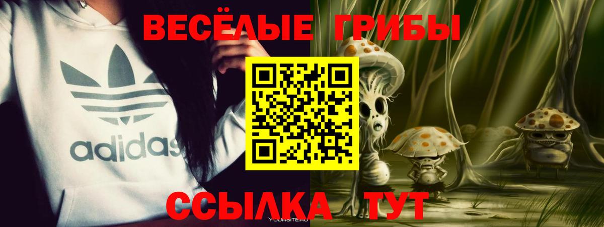 Клинцы  Псилоцибиновые грибы прущие грибы  Вход с VPN  Псилоцибиновые грибы Magic Shrooms 