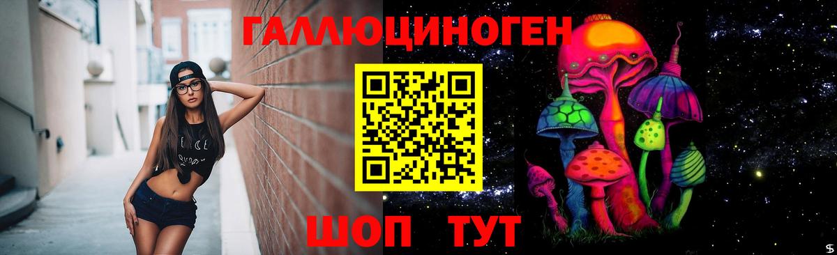 Псилоцибиновые грибы Psilocybine cubensis Клинцы